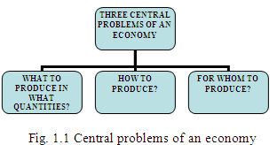 Central Problems of Economics